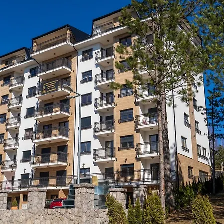 Elsa 2, Ng 31&spa